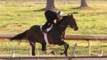 3.26.2010_MORNING_WORKOUT_Ar.Dem_Z_047.JPG